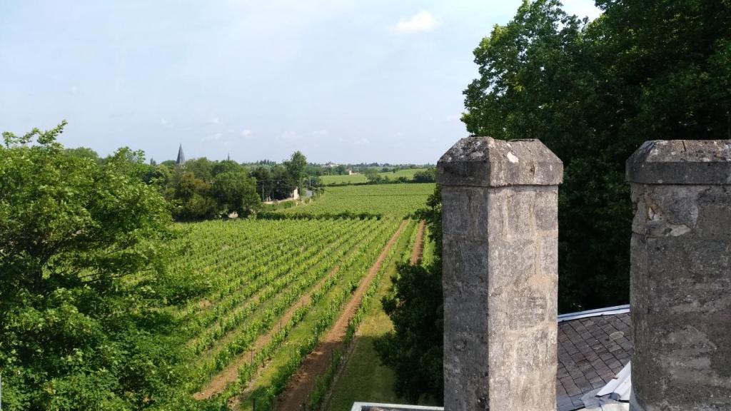 XR consulting Xavier Routurier transaction vignoble